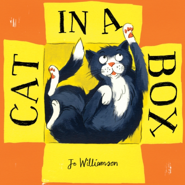 Cat in a Box, EPUB eBook