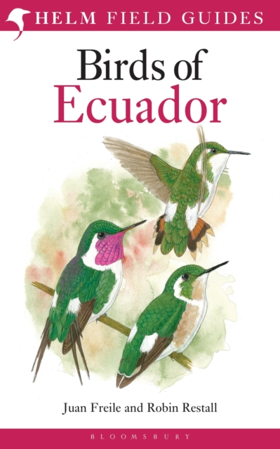 Birds of Ecuador, Paperback / softback Book