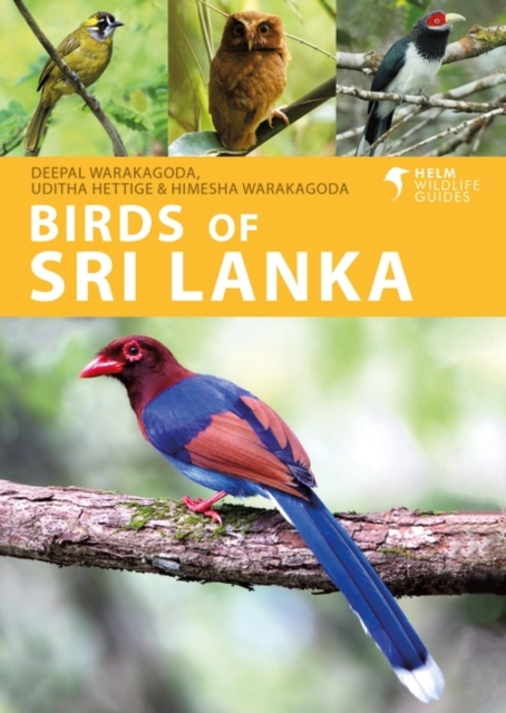 Birds of Sri Lanka, Paperback / softback Book