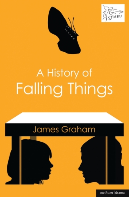 A History of Falling Things, EPUB eBook