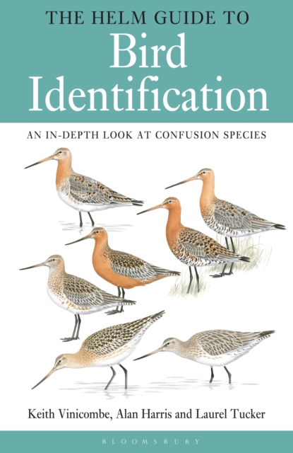 The Helm Guide to Bird Identification, Paperback / softback Book
