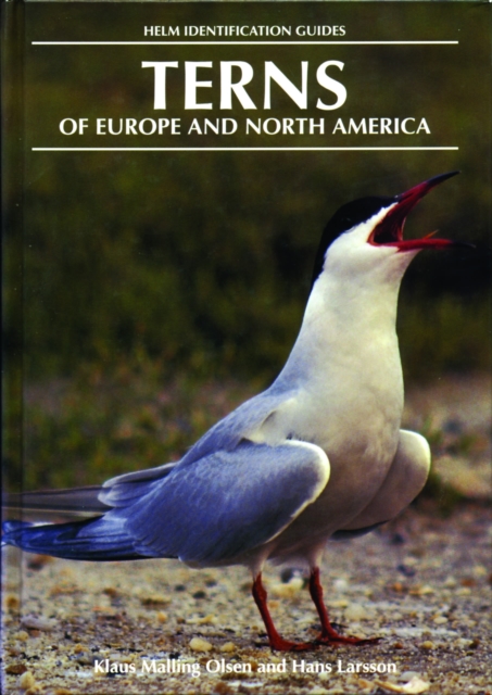 Terns of Europe and North America, EPUB eBook