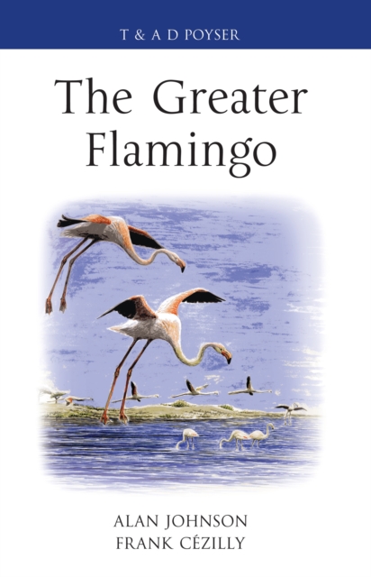 The Greater Flamingo, PDF eBook
