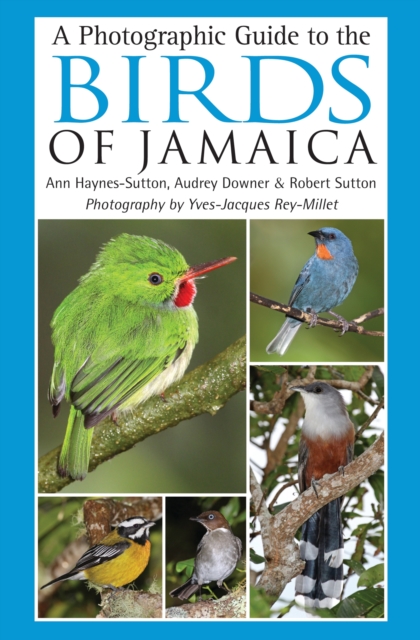 A Photographic Guide to the Birds of Jamaica, PDF eBook