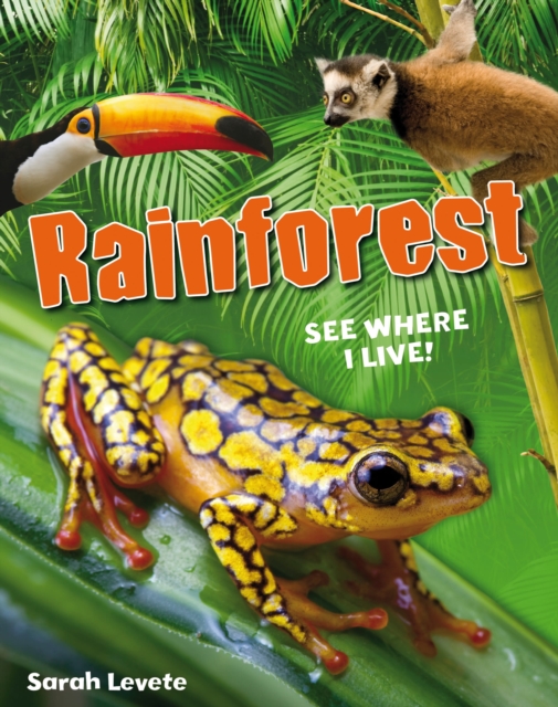 Rainforest See Where I Live! : Age 6-7, below average readers, Paperback / softback Book