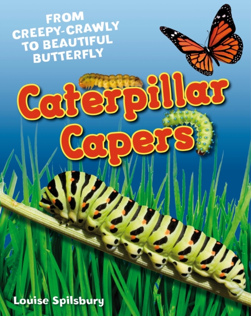 Caterpillar Capers : Age 5-6, above average readers, Hardback Book