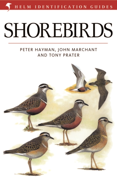 Shorebirds, EPUB eBook