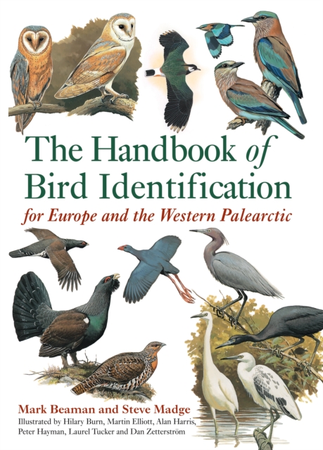 The Handbook of Bird Identification : For Europe and the Western Palearctic, PDF eBook