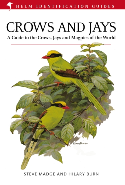 Crows and Jays, PDF eBook