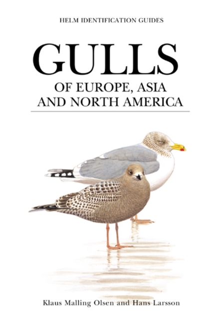 Gulls of Europe, Asia and North America, PDF eBook