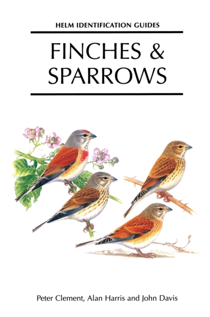 Finches and Sparrows, EPUB eBook