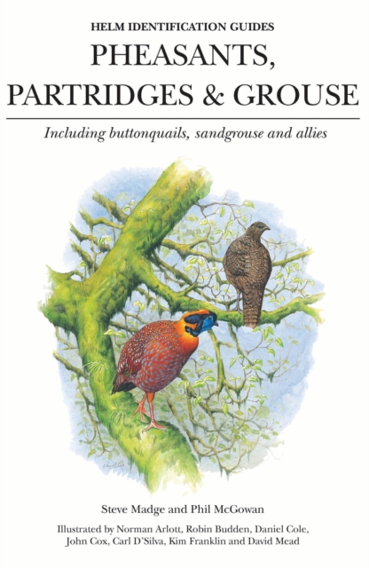 Pheasants, Partridges & Grouse : Including buttonquails, sandgrouse and allies, EPUB eBook