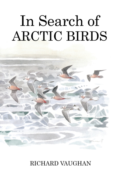In Search of Arctic Birds, EPUB eBook