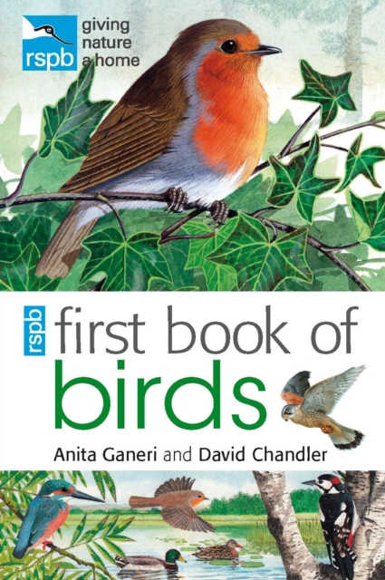RSPB First Book Of Birds, Paperback / softback Book