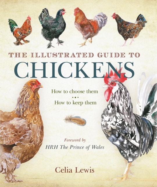 The Illustrated Guide to Chickens : How To Choose Them - How To Keep Them, EPUB eBook