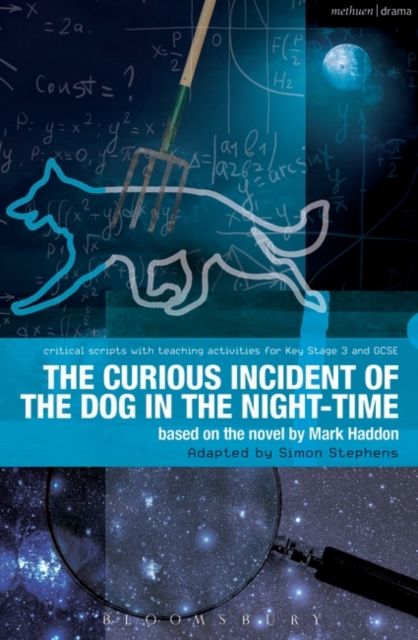 The Curious Incident of the Dog in the Night-Time : The Play, Paperback / softback Book