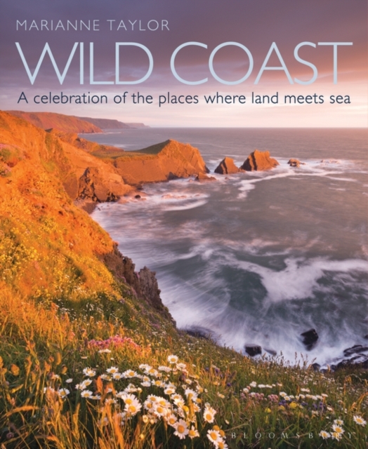 Wild Coast : An exploration of the places where land meets sea, PDF eBook