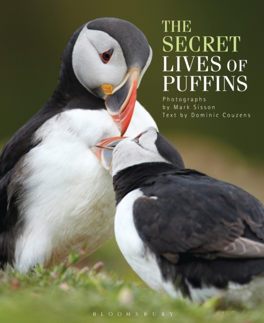 The Secret Lives of Puffins, EPUB eBook