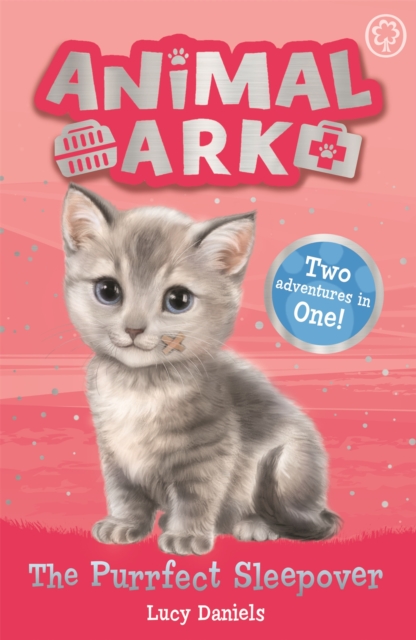 Animal Ark, New 1: The Purrfect Sleepover : Special 1, Paperback / softback Book