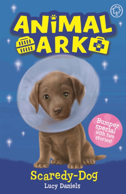 Animal Ark, New 2: Scaredy-Dog : Special 2, Paperback / softback Book