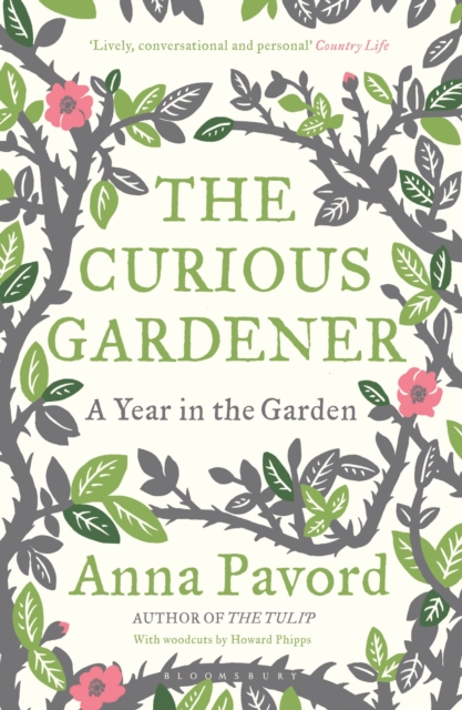 The Curious Gardener, Paperback / softback Book