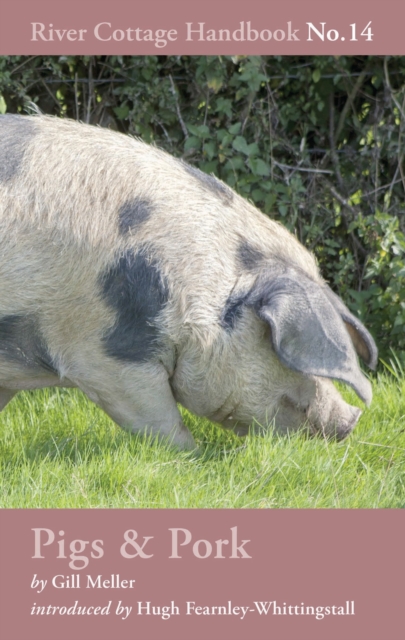Pigs & Pork : River Cottage Handbook No.14, Hardback Book