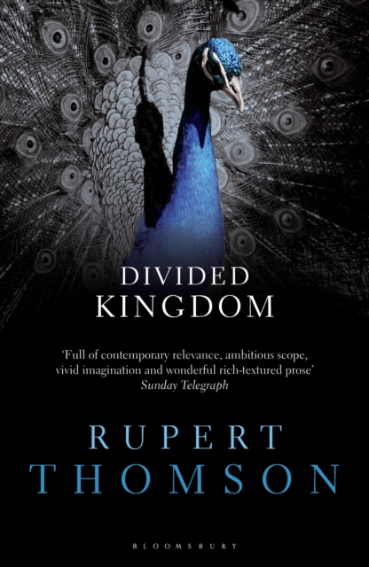 Divided Kingdom, EPUB eBook