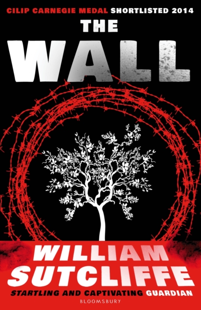 the wall william sutcliffe summary