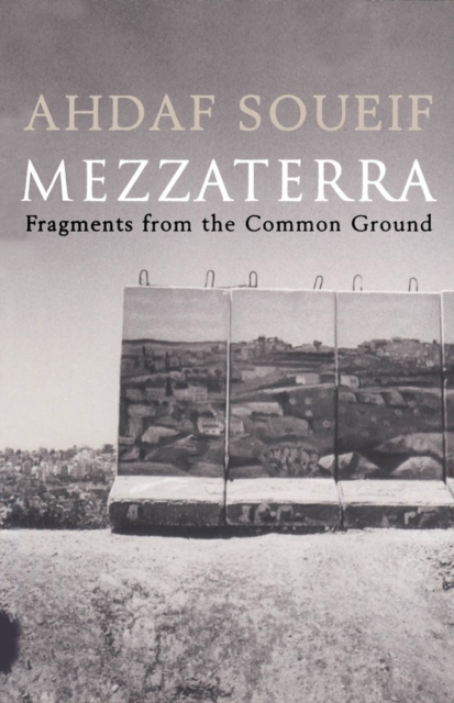 Mezzaterra : Fragments from the Common Ground, EPUB eBook
