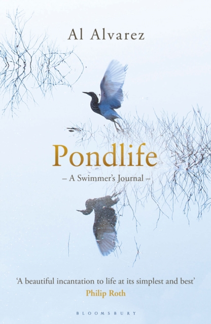 Pondlife : A Swimmer's Journal, Paperback / softback Book