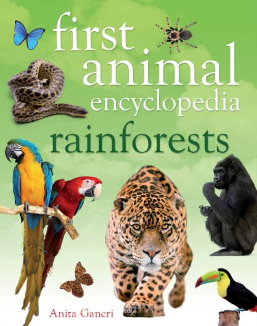First Animal Encyclopedia Rainforests, Hardback Book