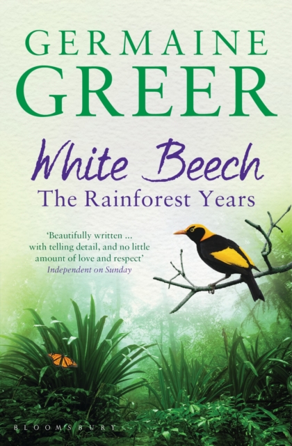 White Beech : The Rainforest Years, Paperback / softback Book