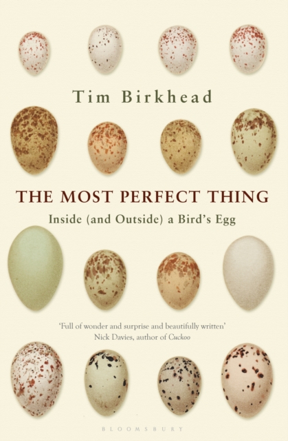 The Most Perfect Thing : Inside (and Outside) a Bird s Egg, EPUB eBook