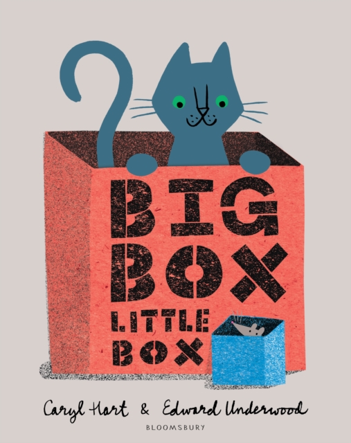Big Box Little Box, EPUB eBook