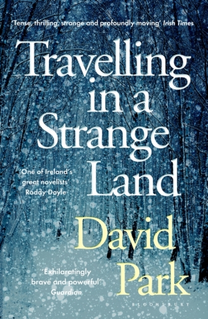Travelling in a Strange Land : Winner of the Kerry Group Irish Novel of the Year, Paperback / softback Book