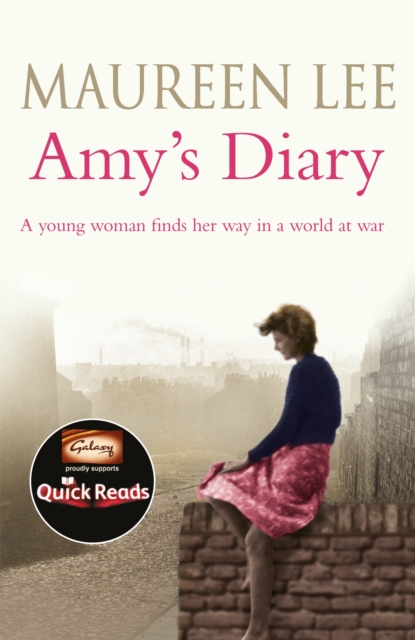 Amy's Diary, Paperback / softback Book