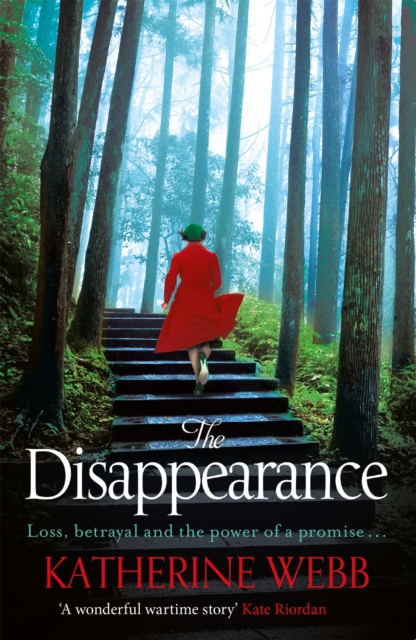 The Disappearance, Paperback / softback Book