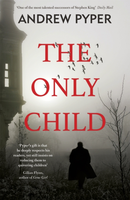 The Only Child, Paperback / softback Book