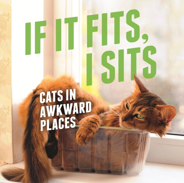 If It Fits, I Sits : Cats in Awkward Places, EPUB eBook