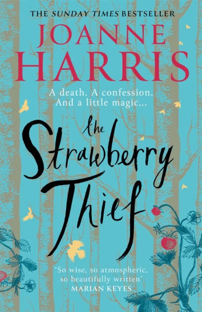 The Strawberry Thief : The Sunday Times bestselling novel from the author of Chocolat, Paperback / softback Book