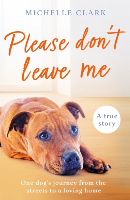 Please Don't Leave Me : The heartbreaking journey of one man and his dog, Paperback / softback Book