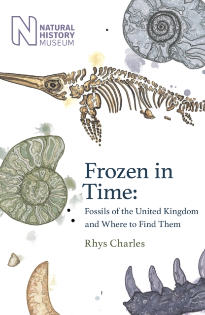 Frozen in Time : Fossils of the United Kingdom and Where to Find Them, Hardback Book