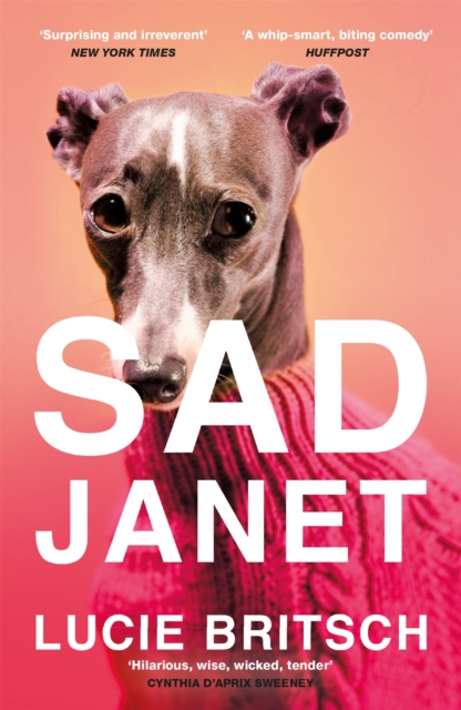 Sad Janet : ‘A whip-smart, biting tragicomedy’ HuffPost, Paperback / softback Book