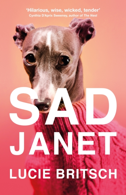 Sad Janet :  A whip-smart, biting tragicomedy  HuffPost, EPUB eBook