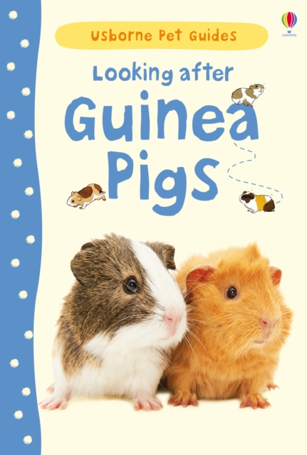 Looking after Guinea Pigs, Hardback Book