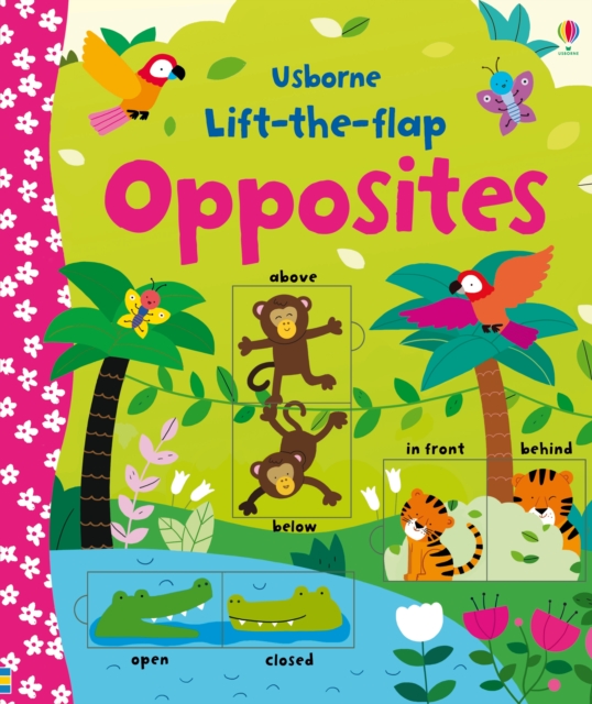 Lift-the-flap Opposites, Board book Book
