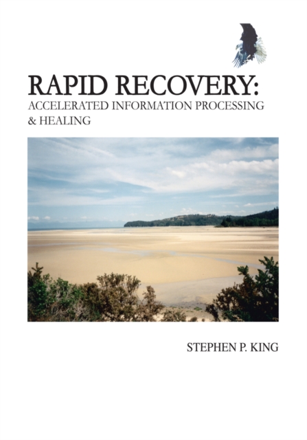 Rapid Recovery : Accelerated Information Processing & Healing, EPUB eBook