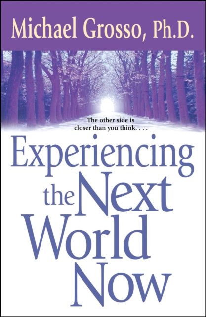 Experiencing the Next World Now, EPUB eBook
