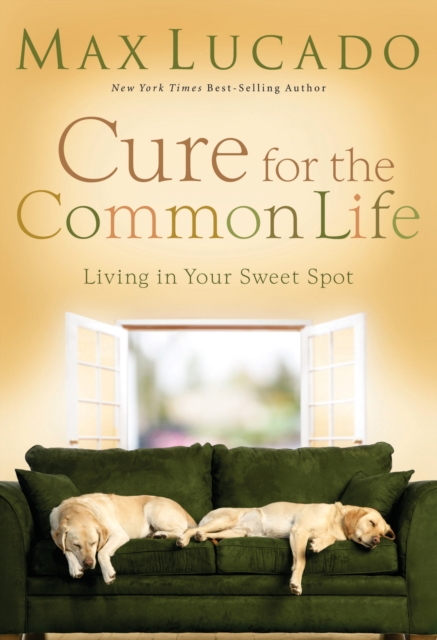 Cure for the Common Life, EPUB eBook