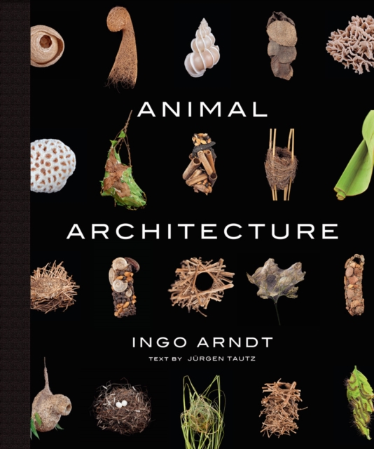 Animal Architecture, Hardback Book